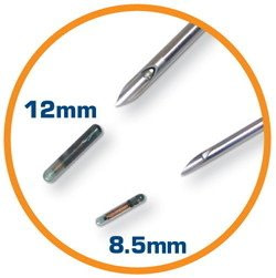 size-of-cats-microchip