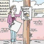 missing cat poster