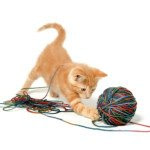 Reducing Your Vet Bills