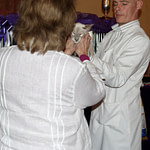 Seal Tabby Point Siamese Cat