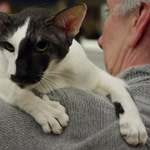 Imp Gr Pr Firousi Phantomoftheopera