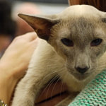 Pr Abicasa Risky Business