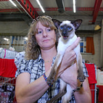 Siamese Cat Show Results