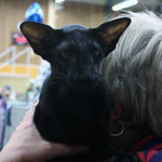 PR Westgarth Princeofdarkness