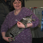 Hemlock Spotty Muldoon