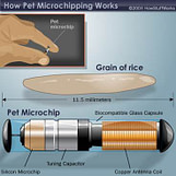 microchip-size