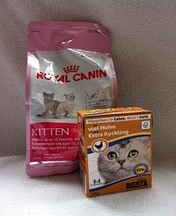 kitten pack food