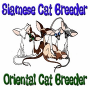 PRA in Siamese Cats