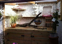 outdoor cat house outdoor cat house