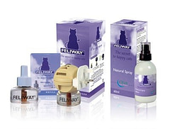 feliway stress in cats