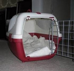 Keeping Your Cat Carrier Clean