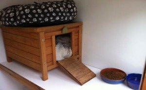 outdoor cat run quarters outdoor cat run quarters