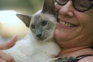 Top Ten Questions to ask a Siamese Cat Breeder