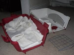 Cat Carrier Cat Carrier