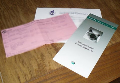 Cats Blood Test Results