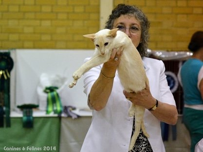 Gr Ch & Imp Gr Pr Johpas Jessie Jay