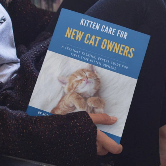 Kitten-Care-eBook