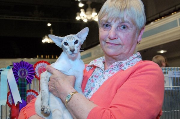 Nor'East of Scotland Cat Club Siamese Results 2014