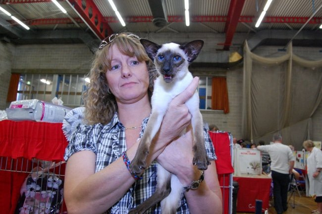 Merseyside Siamese Pictures 2013