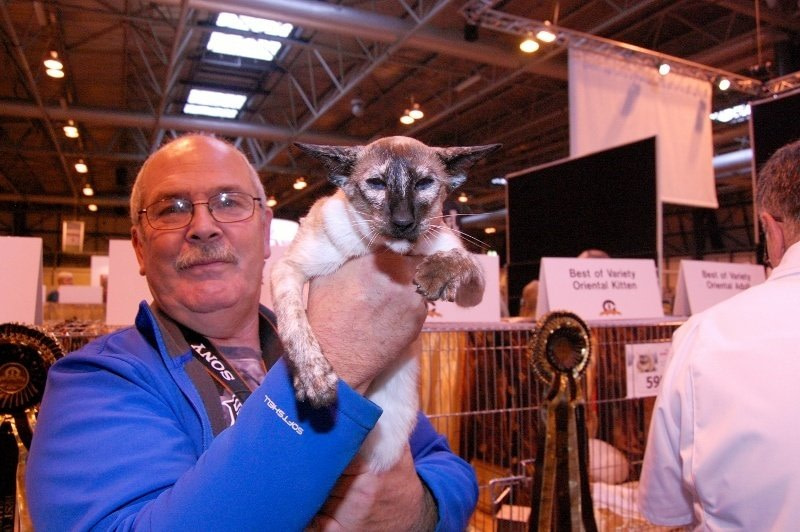 Supreme Siamese and Oriental Photos 2015