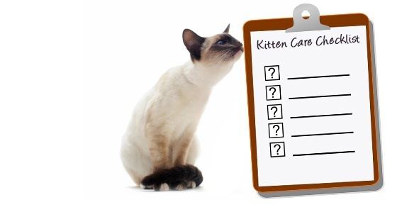 New Kitten Checklist