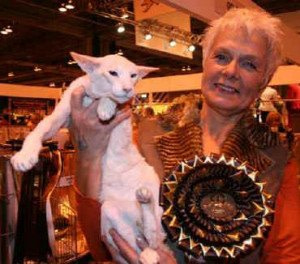 Supreme UK Gr Ch Sarnau Jaffah