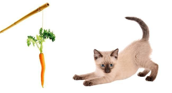 carrot and stick