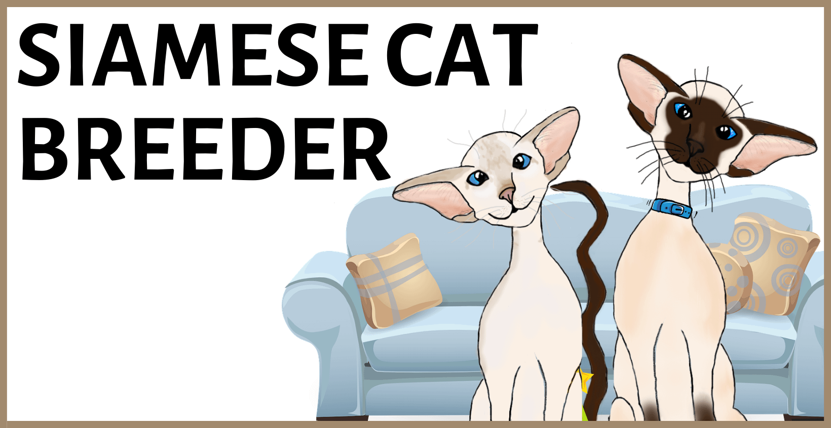 Cat Pedigrees for Cat Breeders - Siamese Cats and Kittens